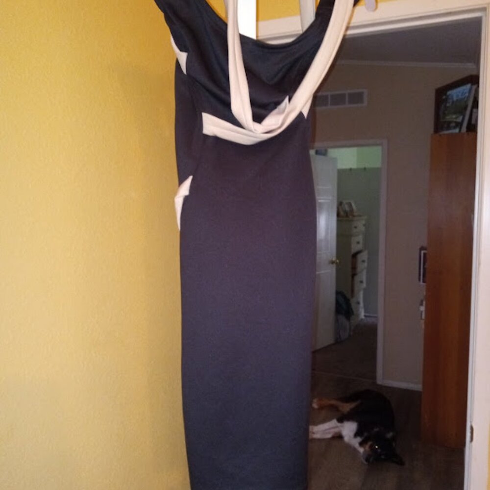 Dress - Picture 6 of 12